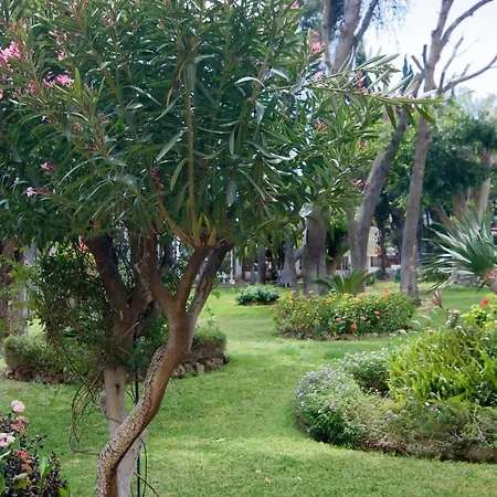 Rocio